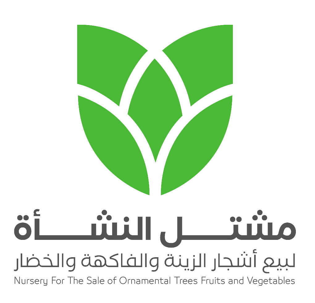 Logo 8 1